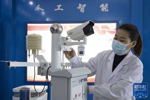 央媒看龍江 中國最北自貿區，數字經濟與綠色科技雙引擎驅動發展